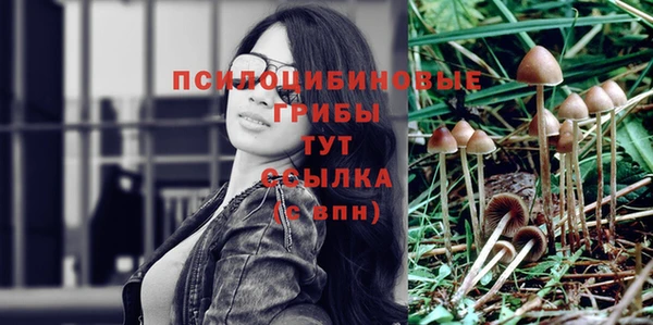 COCAINE Алексеевка