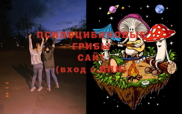спиды Алзамай